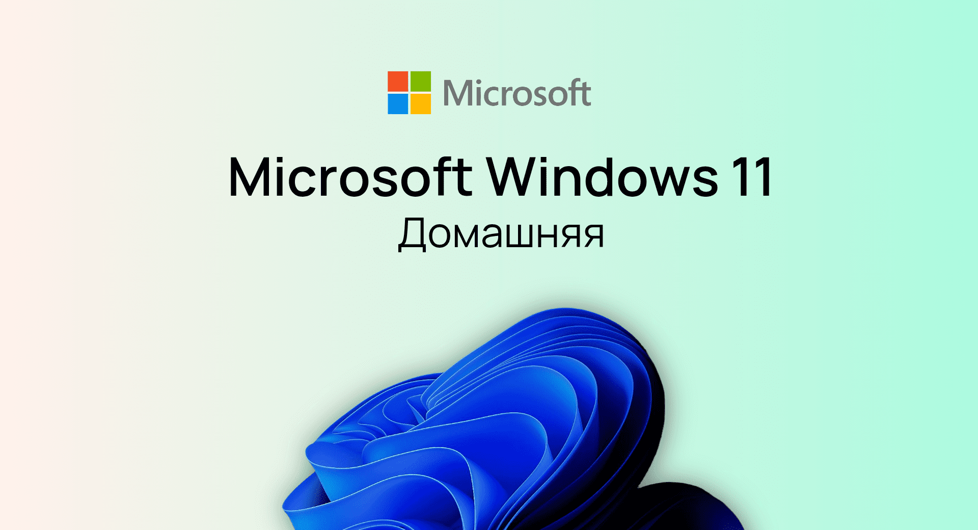 Windows 11 Home (Домашняя)