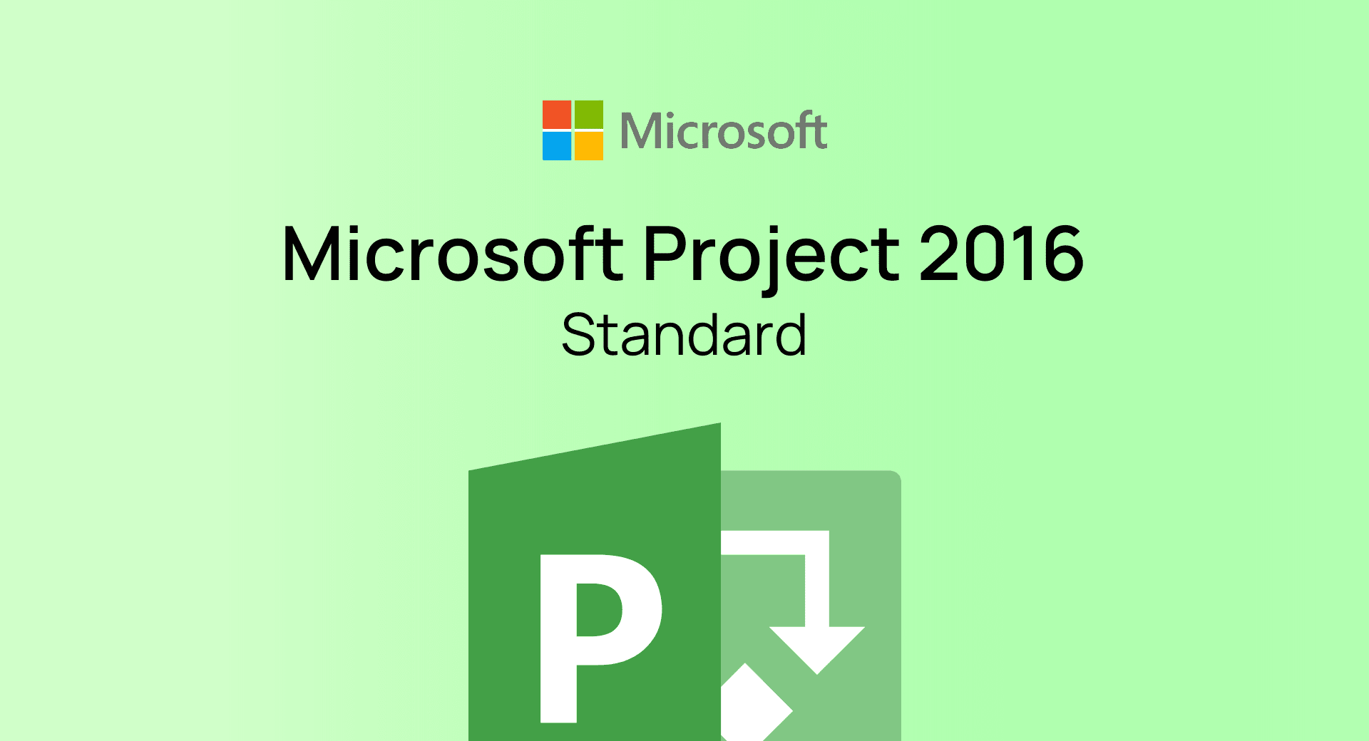 Project 2016 Standard