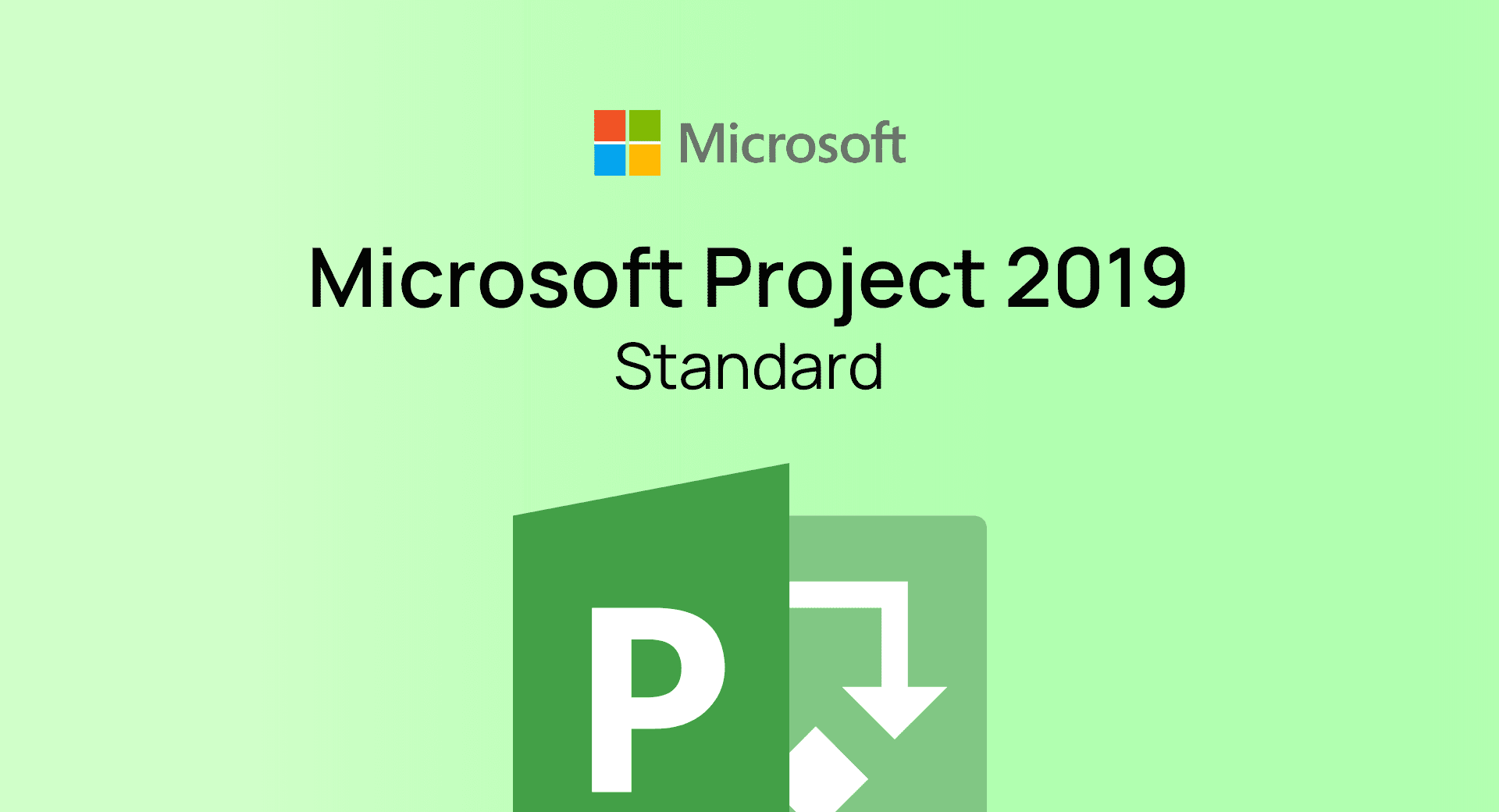 Project 2019 Standard