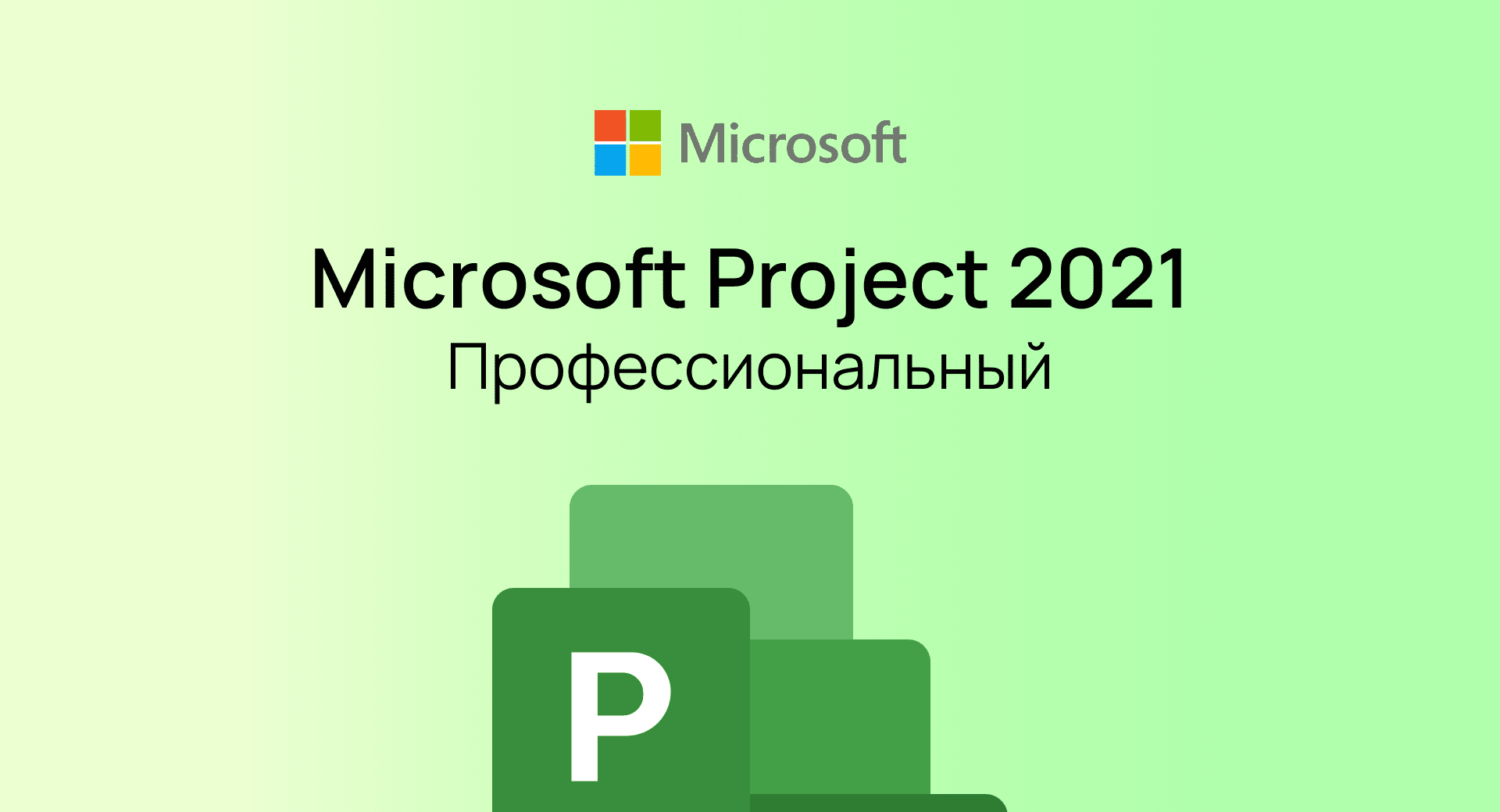 Project 2021 Professional