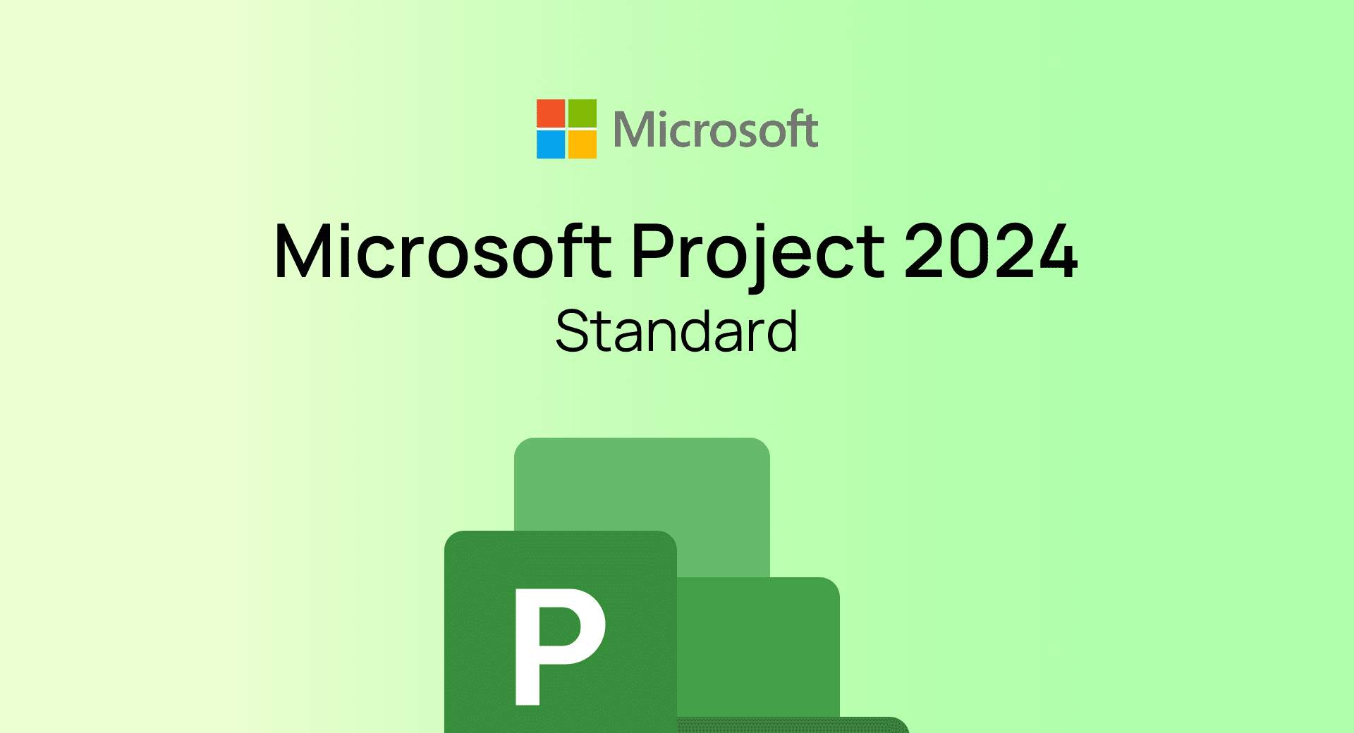Project 2024 Standard