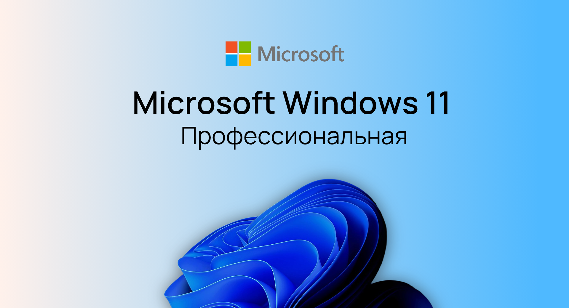 Windows 11 Pro (Профессиональная)
