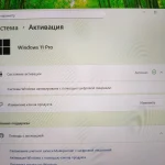Windows 11 Pro (Профессиональная)