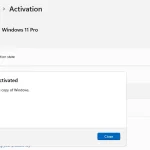 Windows 11 Pro (Профессиональная)