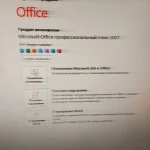 Office 2021 Professional Plus