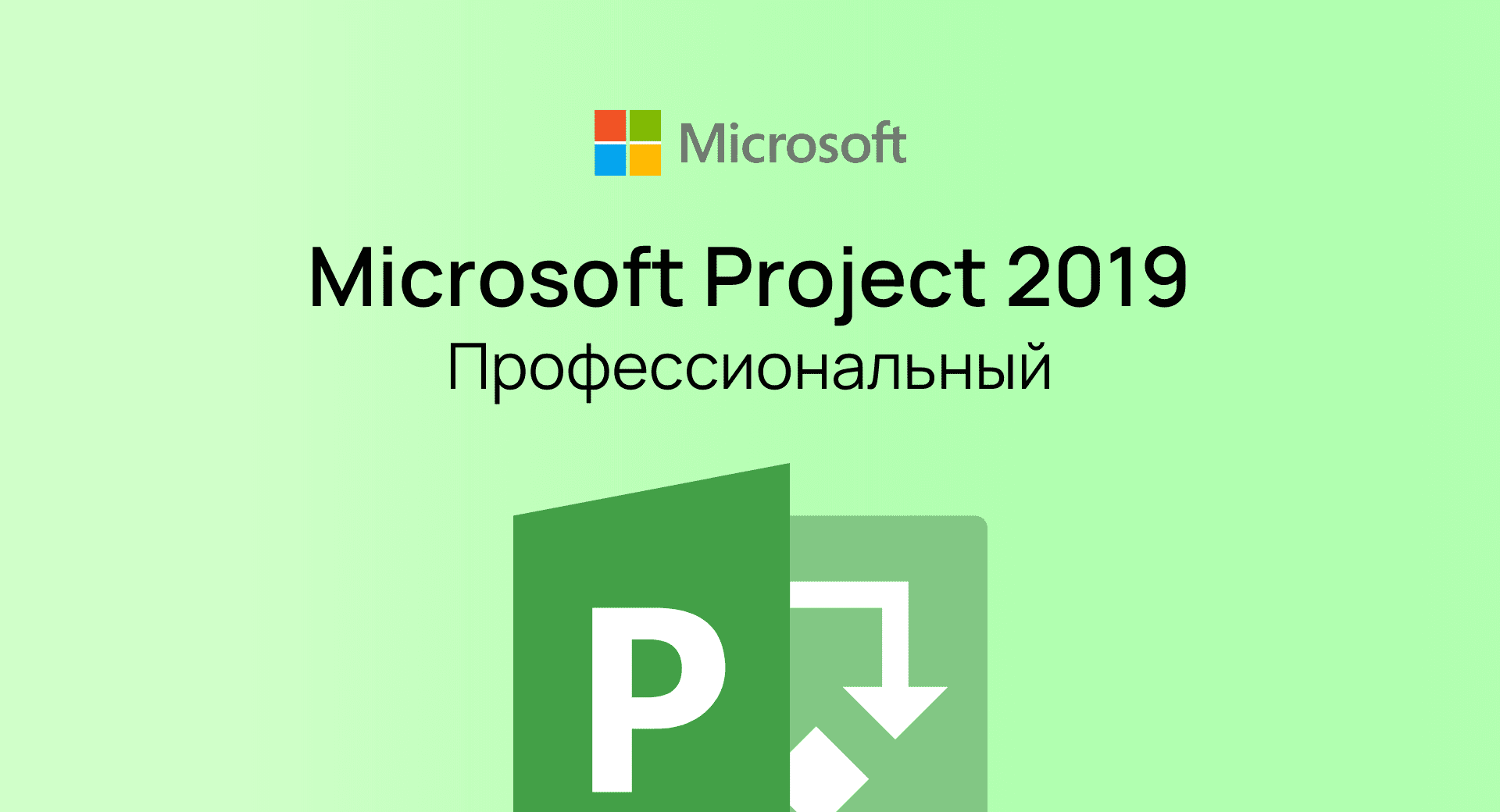 Project 2019 Professional